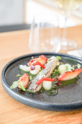 Photo de Laurent Mercier