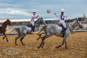 Photo de Debaisieux Denis