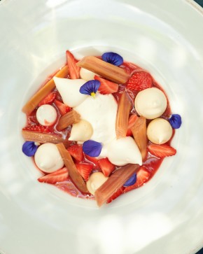 Photo de Irina Loncar