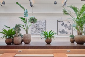 Photo de Irina Loncar