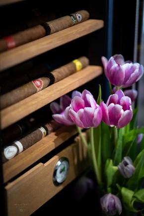 Photo de Nicolas Tissot