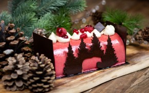 Photo de Nicolas Tissot