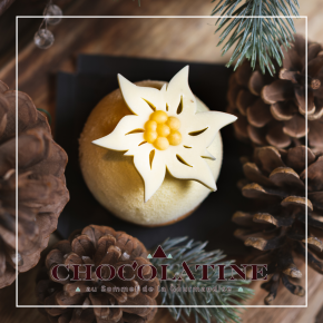 Photo de Nicolas Tissot