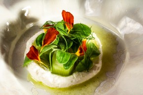 Photo de JULIEN TUYERAS