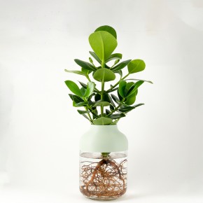 Photo de JULIEN TUYERAS