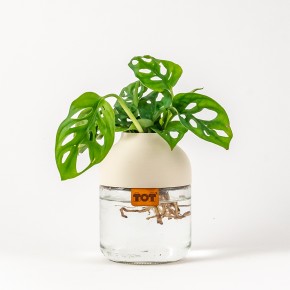 Photo de JULIEN TUYERAS