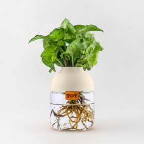 Photo de JULIEN TUYERAS