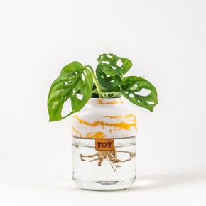 Photo de JULIEN TUYERAS