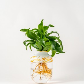 Photo de JULIEN TUYERAS