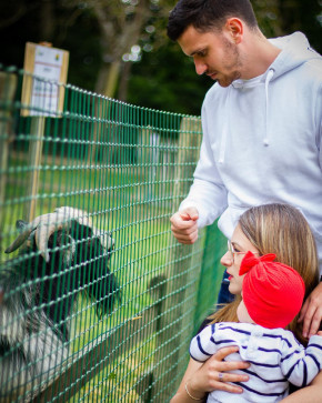 Photo de Aliya Berdigalieva