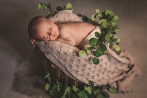 Photo de Caroline Guigon