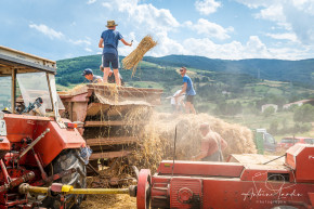 Photo de Antoine Lardin