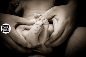 Photo de Denis Legentilphotographe
