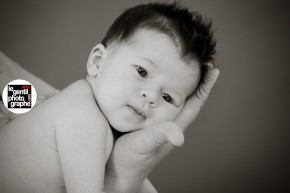 Photo de Denis Legentilphotographe