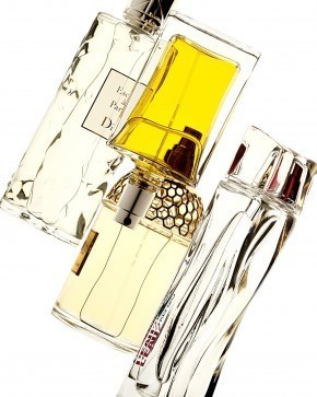 Photo de christophe donna