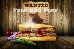 Photo de Thierry Plouy