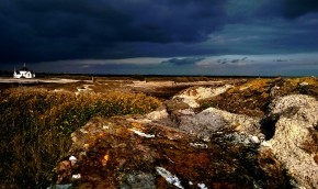 Photo de Thierry RENAULT