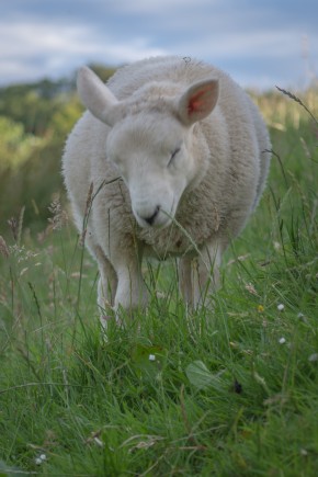 Photo de Pierrick Pobelle