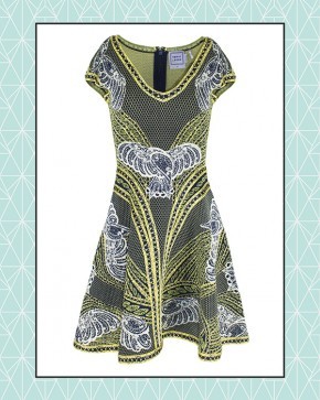 Photo de Plume  Heters-Tannenbaum