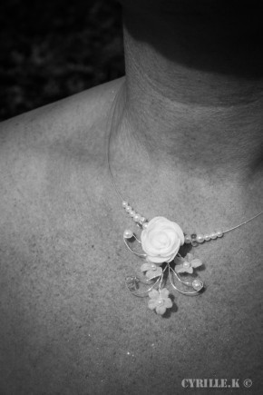 Photo de Cyrille Kervisic