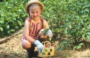 Photo de ERIK SAMPERS