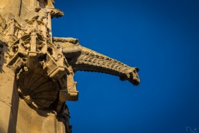 Photo de Marie-Line BURGUIERE