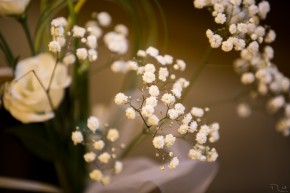 Photo de Marie-Line BURGUIERE