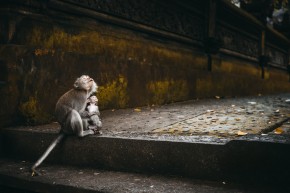 Photo de Jean-Sebastien Poirier