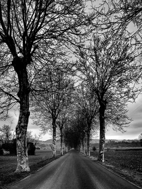 Photo de Claude FLOROT