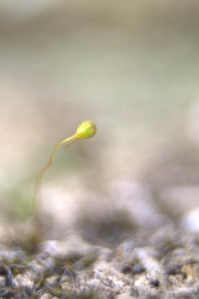 Photo de Claude FLOROT