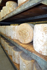 Photo de Jlouis  Bories