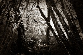 Photo de Jlouis  Bories