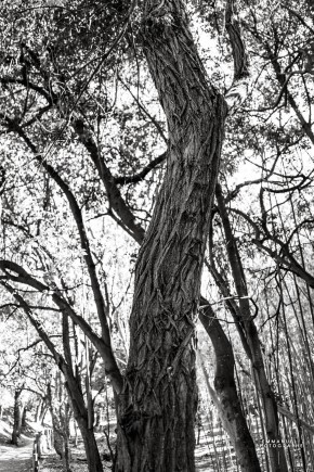 Photo de Emmanuel Cla