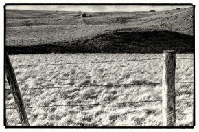 Photo de Fran&ccedil;ois-Xavier PR&Eacute;VOT