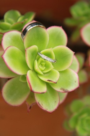 Photo de Isabelle Bez