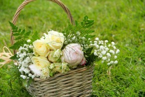 Photo de Isabelle Bez