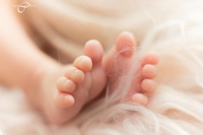 Photo de Fanny Cayette