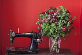 Photo de LANNOU Charlotte