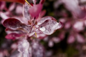 Photo de Vakkalagadda Abhiram
