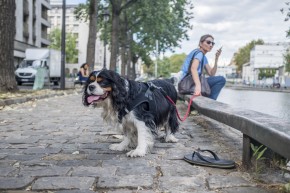 Photo de Vakkalagadda Abhiram
