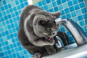 Photo de Pascal  MENDEZ