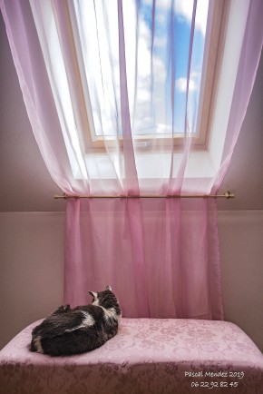 Photo de Pascal  MENDEZ