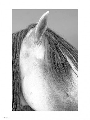 Photo de Th&eacute;bault Th&eacute;bault