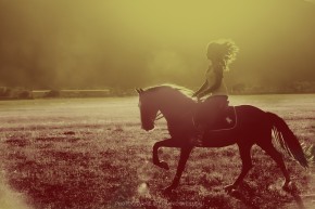 Photo de St&eacute;phanie EVEILLEAU