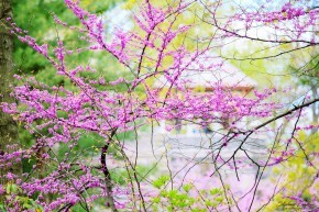 Photo de St&eacute;phanie EVEILLEAU