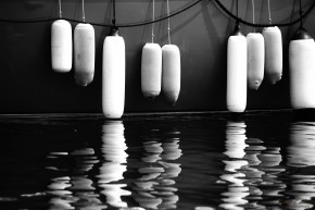 Photo de Stéphanie EVEILLEAU