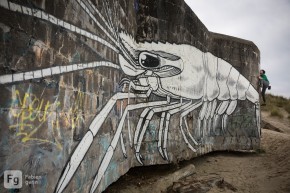 Photo de Fabien Garin
