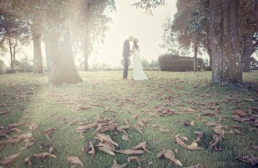 Photo de Dawn Stoloff