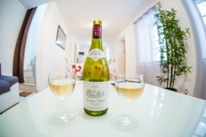 Photo de Dawn Stoloff