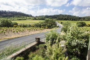 Photo de Dawn Stoloff